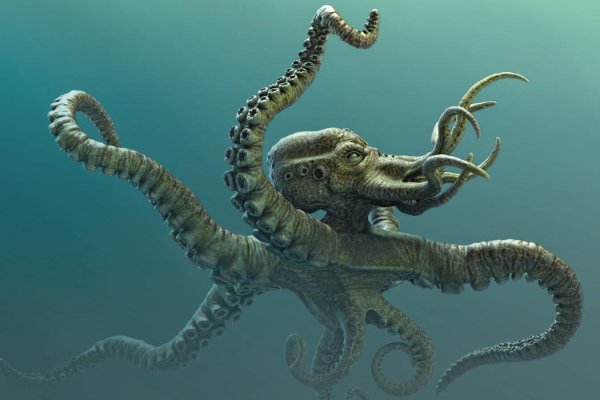 Kraken tor