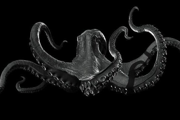 Kraken как зайти